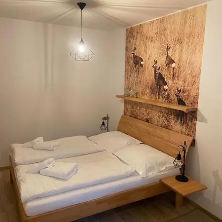 Hubertus No 2 Lejlighed Karlova Studánka