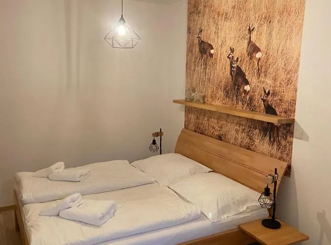 Hubertus No 2 Lejlighed Karlova Studánka